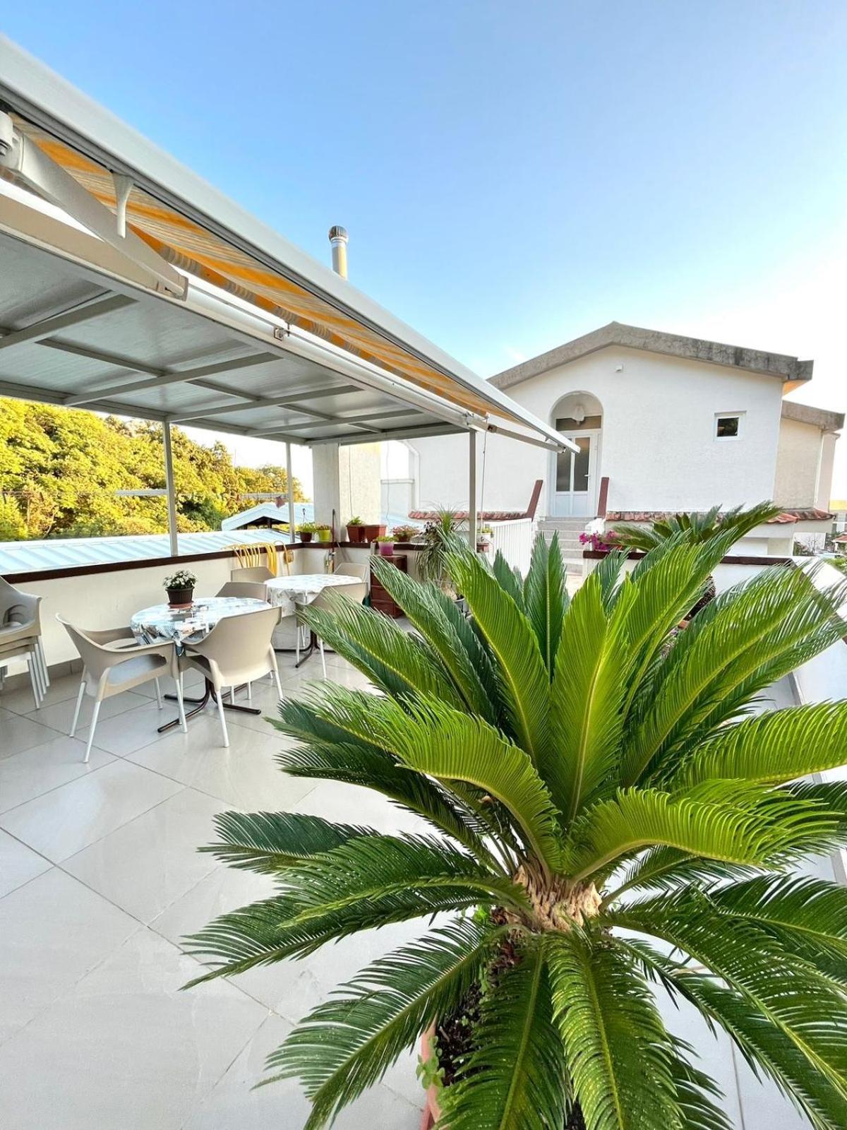 Apartments Harmonija Budva Dış mekan fotoğraf